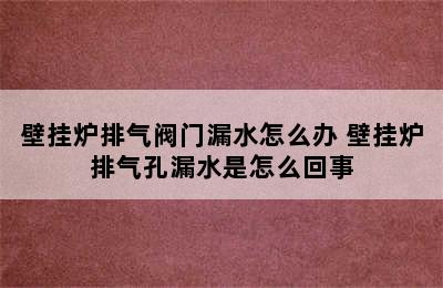 壁挂炉排气阀门漏水怎么办 壁挂炉排气孔漏水是怎么回事